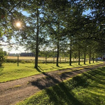 Fyrås Gård Grindstuga. - Bild 10
