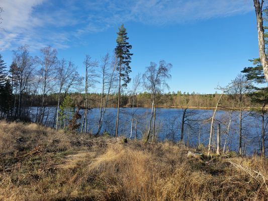 Stuga vid sjö i skogsmiljö – Drängstugan - Bild 16