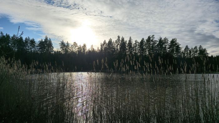 Stuga vid sjö i skogsmiljö – Drängstugan - Bild 17