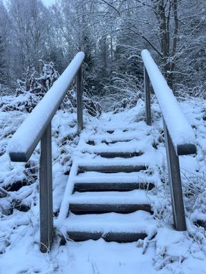 Lysviks gästhus inklusive extra service - Bild 22