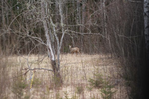 Lysviks gästhus inklusive extra service - Bild 15