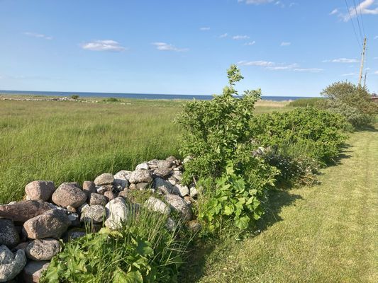 Strandnära ölandsidyll vid havet - Bild 17