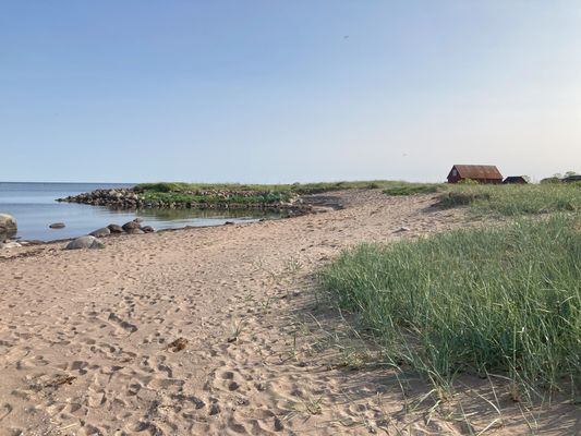 Strandnära ölandsidyll vid havet - Bild 22