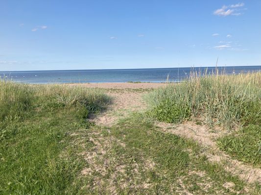 Strandnära ölandsidyll vid havet - Bild 23