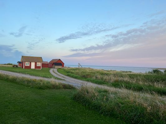 Strandnära ölandsidyll vid havet - Bild 20