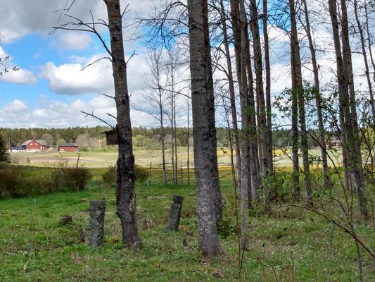 Enkel och charmig stuga på Vätö - Bild 6