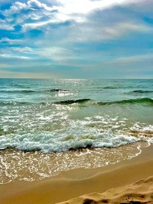 Yngsjö 80 m till havet och Sveriges längsta strand - Bild 9