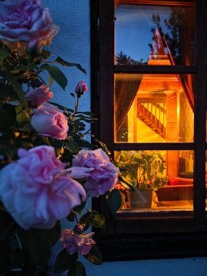 Unik skånelänga nära hav, natur och kultur! - Bild 85