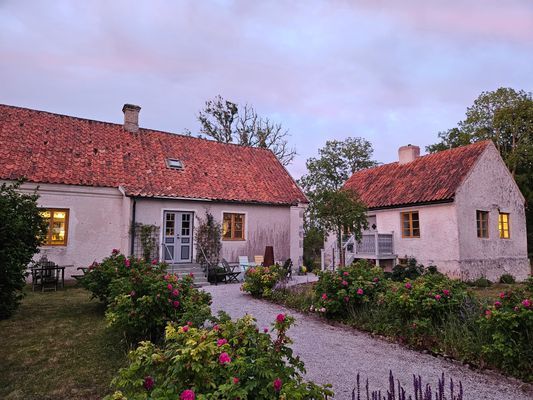 Charmigt Gotlandshus i vacker miljö - Bild 30