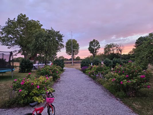 Charmigt Gotlandshus i vacker miljö - Bild 29