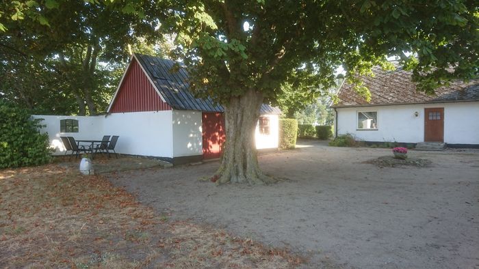 Lantlig idyll på Österlen - Bild 7