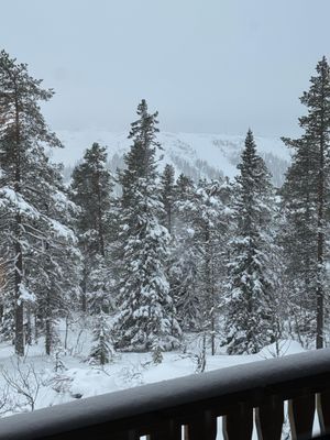 Sälen Tandådalen nyrenoverat - Bild 14