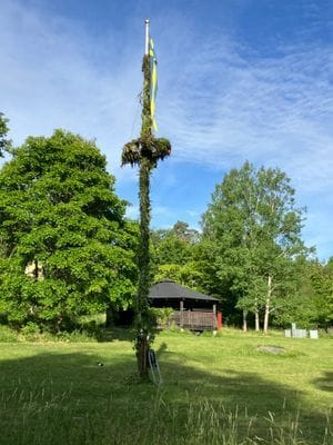 Vår midsommaräng med dansbana inom området