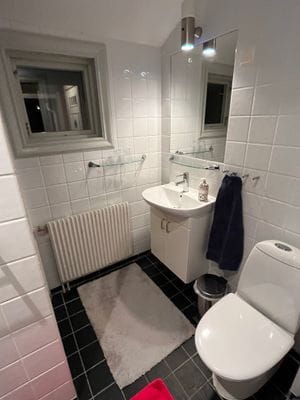 Standarden på våra 3 toaletter och duschrum.