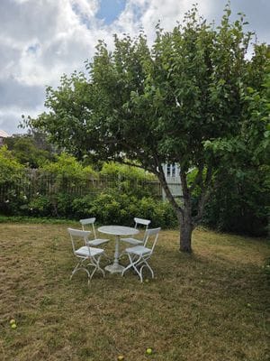 Vackert hus i Mölle; uthyres - Bild 24