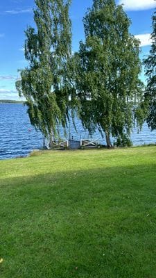 Paradis på sjötomt - Bild 3