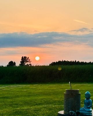 Österlendröm m unikt läge utsikt över fälten - Bild 55