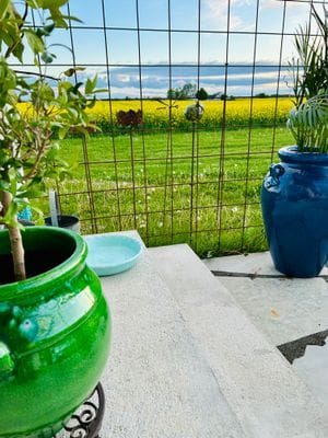 Österlendröm m unikt läge utsikt över fälten - Bild 18