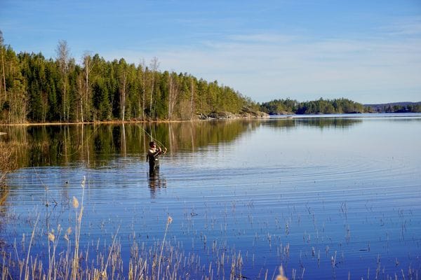Semesterhus med motorbåt och bastu på sjön - Bild 20