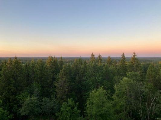 Trivsamt hus på landet - Småländska höglandet - Bild 20