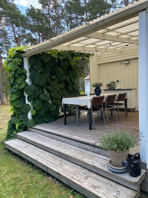 Charmig stuga på Oknö - havsnära tomt! - Bild 5