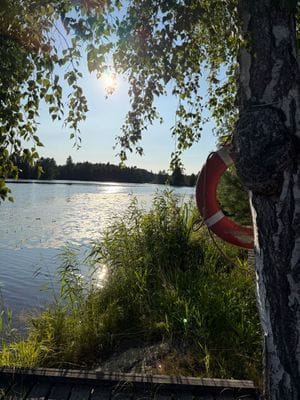 Hus med sjötomt, brygga & vedeldad bastu - Bild 53
