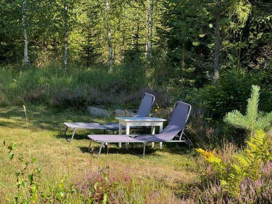 Hemtrevligt hus mitt i skogen nära egen sjö - Bild 13