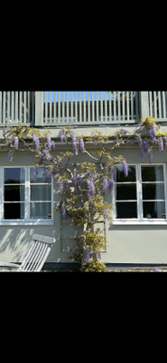 Lägenhet i villa Särö - Bild 17