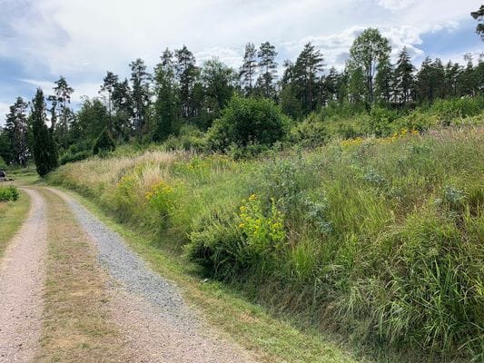 Stuga nära hav och bad. Roddbåt, egen brygga. - Bild 38