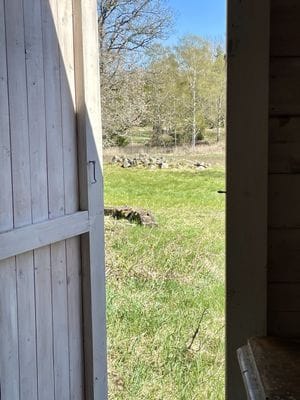 Utsikt från dasset