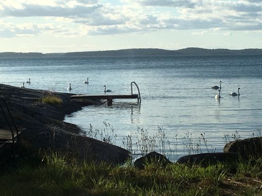 Trevlig stuga på Utö - Bild 20