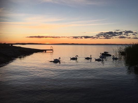 Trevlig stuga på Utö - Bild 21
