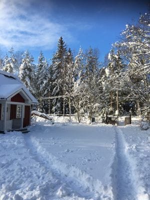 Trevlig stuga på Utö - Bild 19