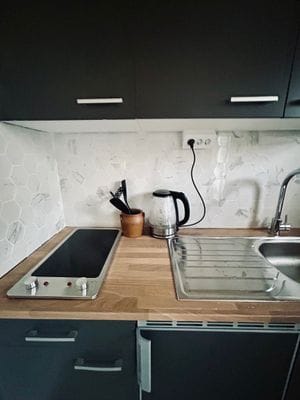 Studio m etage fritt läge i charmig Skånegård - Bild 52