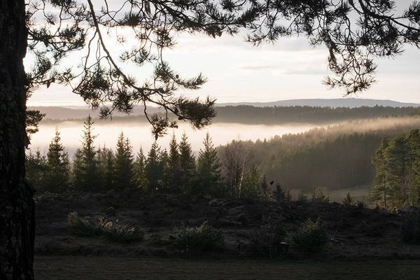 Torp i skogen med högt, tyst & soligt läge - Bild 56