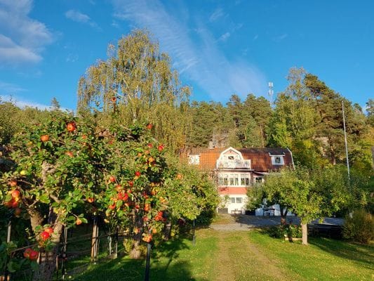 Linneaborg byggdes på 1930-talet av Linnea och hennes man. Deras barnbarn byggde ut ochg renoverade på 1990-talet. Nuvarande ägara har haft det sedan 2019