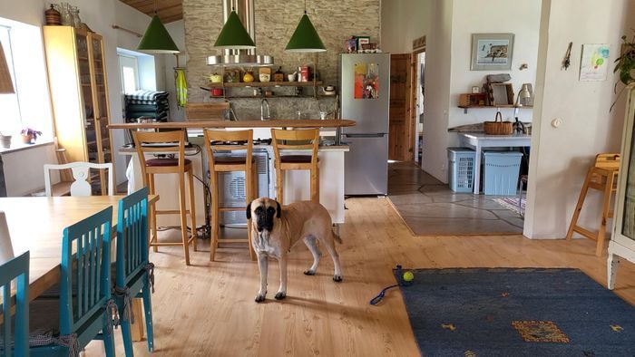 Stenhus, södra, Gotland, Vamlingbo, Sundre - Bild 18