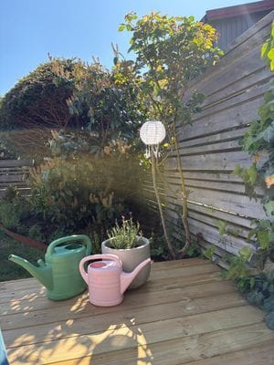 Abbekås, sydkustens pärla - Bild 24