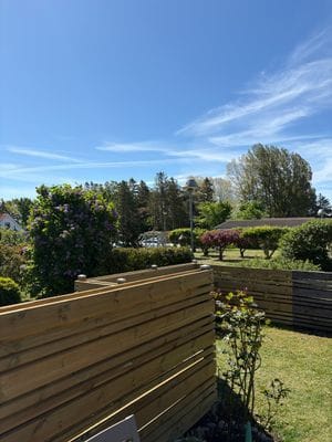 Abbekås, sydkustens pärla - Bild 4