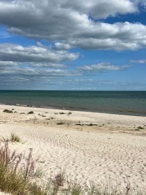 Soldränkt sommarhus i Beddingestrand - Bild 21