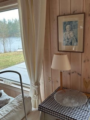 Typical Swedish cottage with stuga overlook a lake - Bild 26