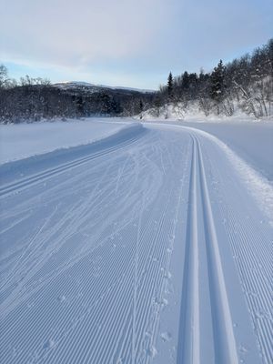 Skidspår på Ljusnan