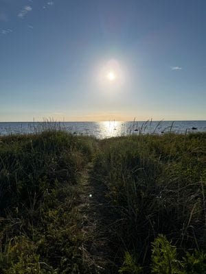 Litet radhus i fiskarläget Glommen, Falkenberg - Bild 8