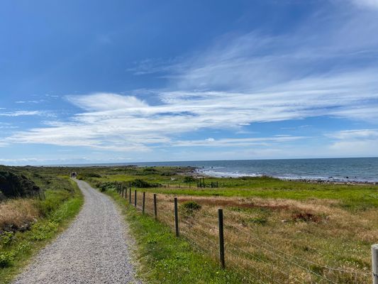 Luftig minivilla och smart planerad attefallare - Bild 25