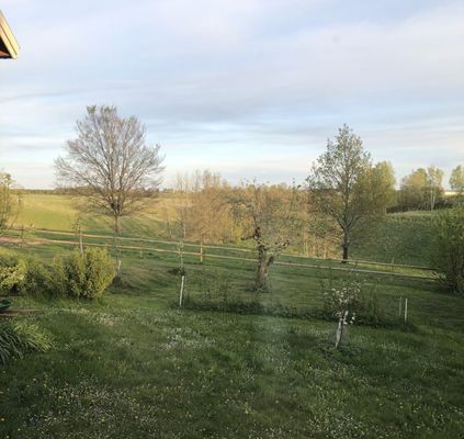 Charmig och rymlig villa nära Lidköping |SE08085 - Bild 23