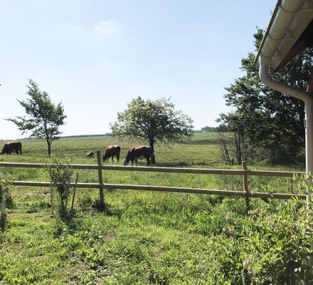 Charmig och rymlig villa nära Lidköping |SE08085 - Bild 25