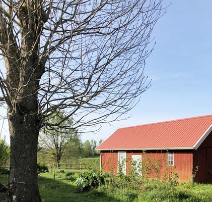 Charmig och rymlig villa nära Lidköping |SE08085 - Bild 29