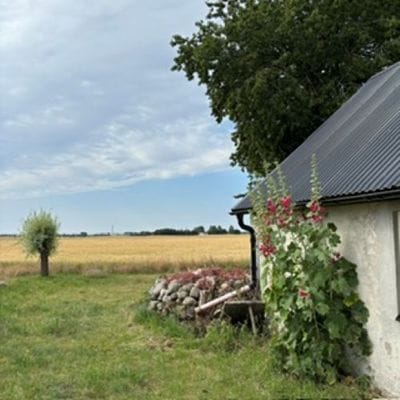 Skånelänga med milsvid utsikt - Bild 2