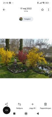 Visby C Öster. VILLA-LÄGENHET på stor tomt - Bild 9