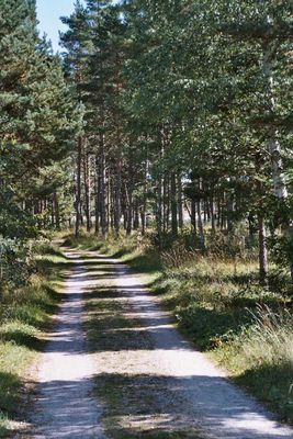 Drömstuga nära havet: 10 bäddar - Bild 8